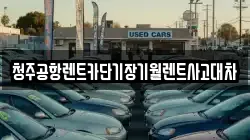 충청북도 청주시 흥덕구 신성동 렌트카,단기렌트카,장기렌트카,중고차,중고차매매,중고차매입