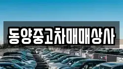 동양중고차매매상사