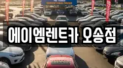 충청북도 청주시 흥덕구 오송읍 렌트카,단기렌트카,장기렌트카,중고차,중고차매매,중고차매입