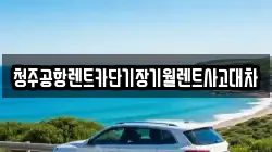 청주공항렌트카단기장기월렌트사고대차