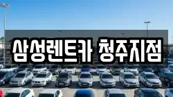 삼성렌트카 청주지점