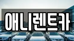 애니렌트카