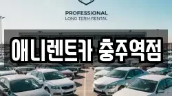 애니렌트카 충주역점