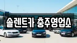 충청북도 충주시 칠금동 렌트카,단기렌트카,장기렌트카,중고차,중고차매매,중고차매입