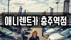 애니렌트카 충주역점