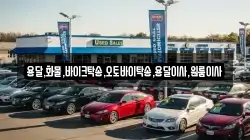 용달,화물,바이크탁송,오토바이탁송,용달이사,원룸이사